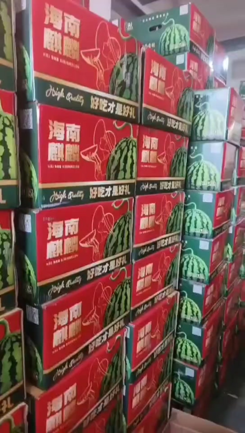 海南麒麟瓜