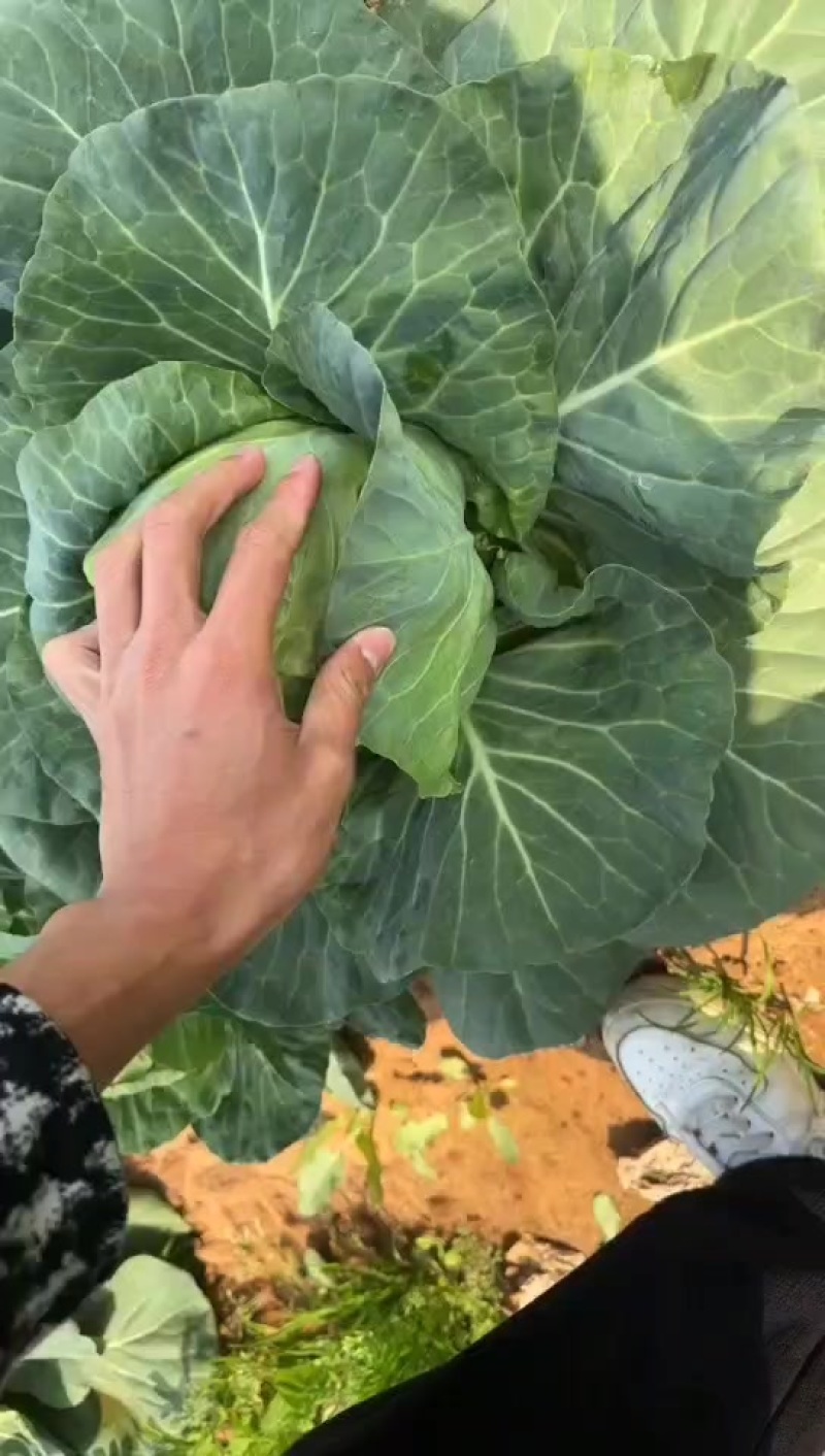 精品，大量有货，用的联系，质量保证