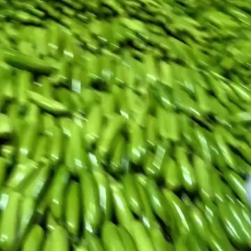酉葫芦