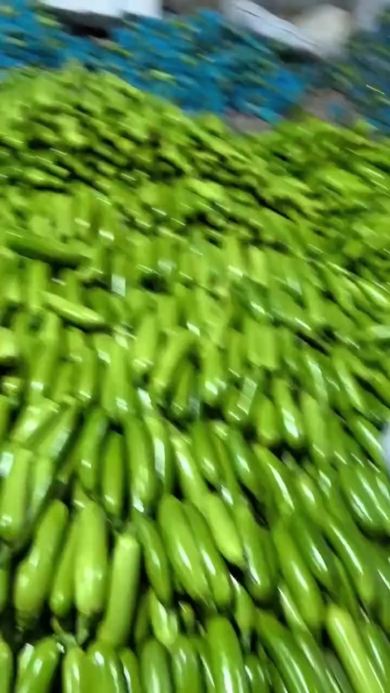 酉葫芦
