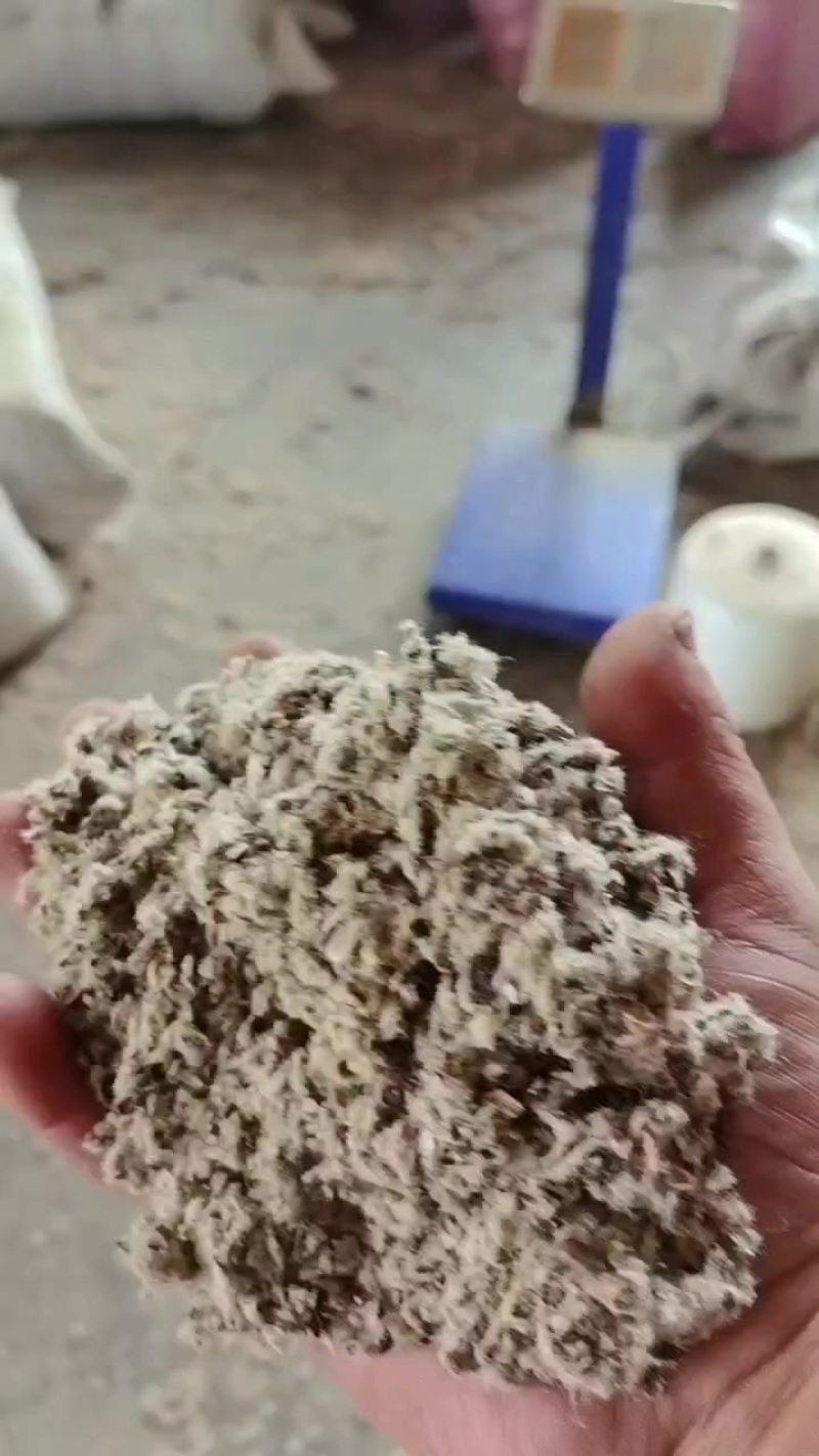 新疆优质棉壳