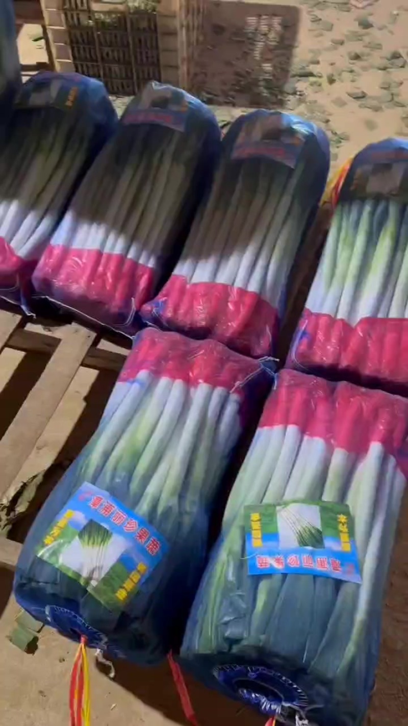 精品大葱有货，用的联系，价格不高，质量保证