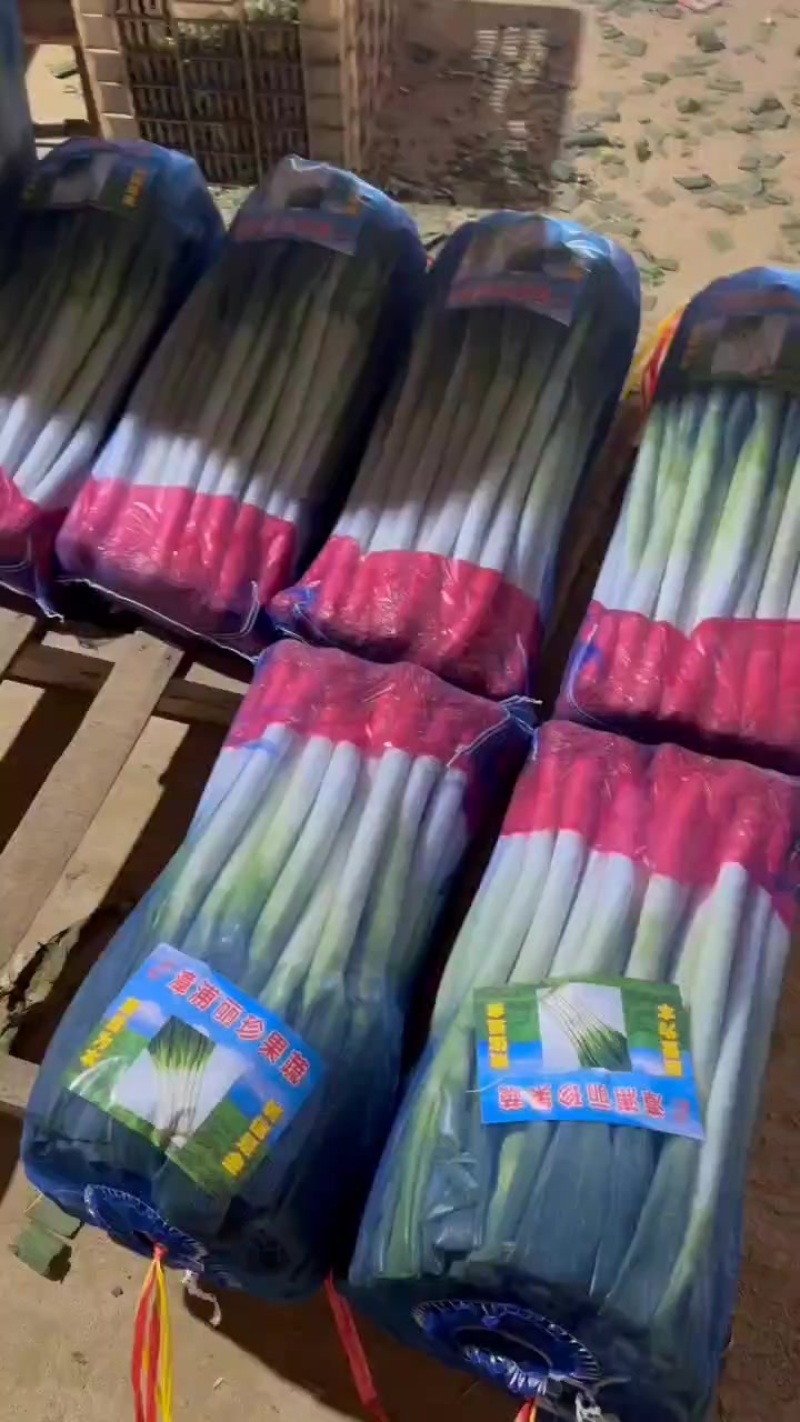 精品大葱有货，用的联系，价格不高，质量保证
