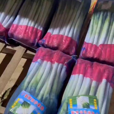 精品大葱，大量有货，价格不高，质量保证，用的联系