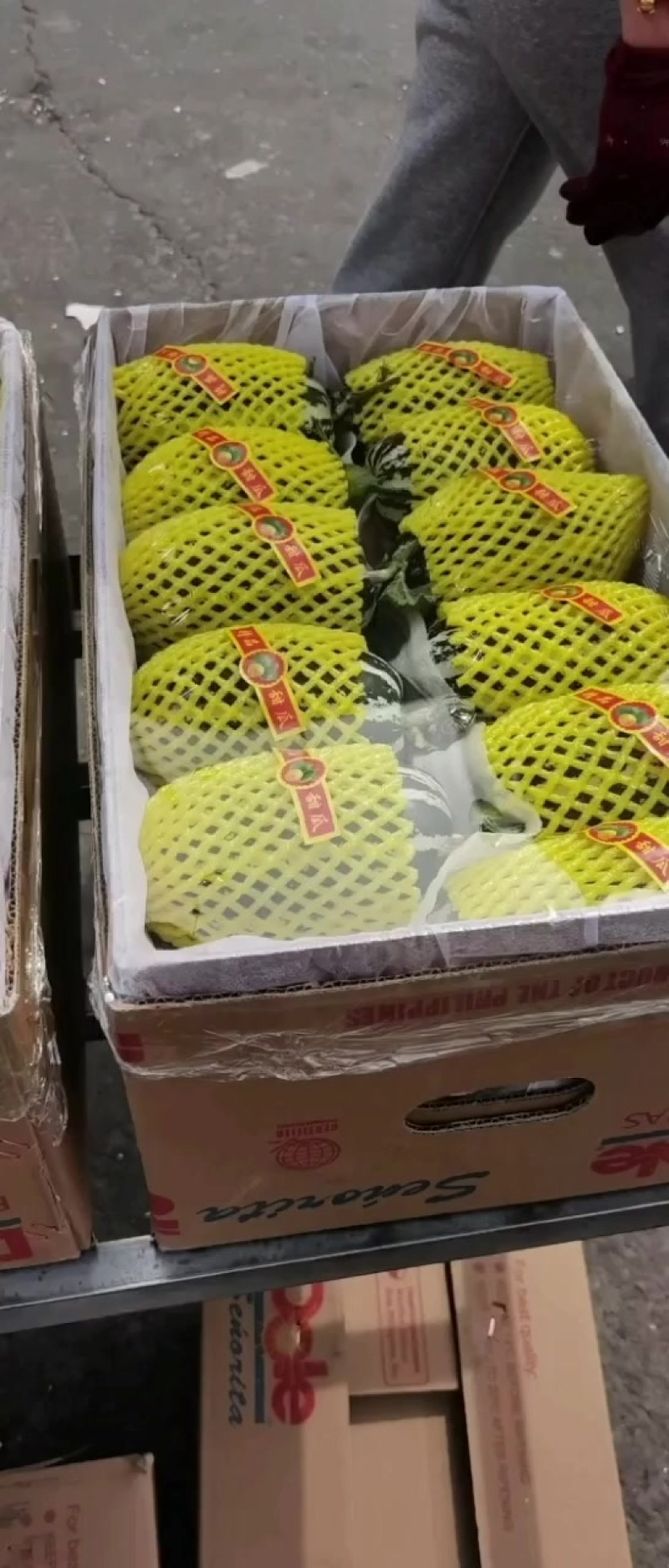 好瓜就是好