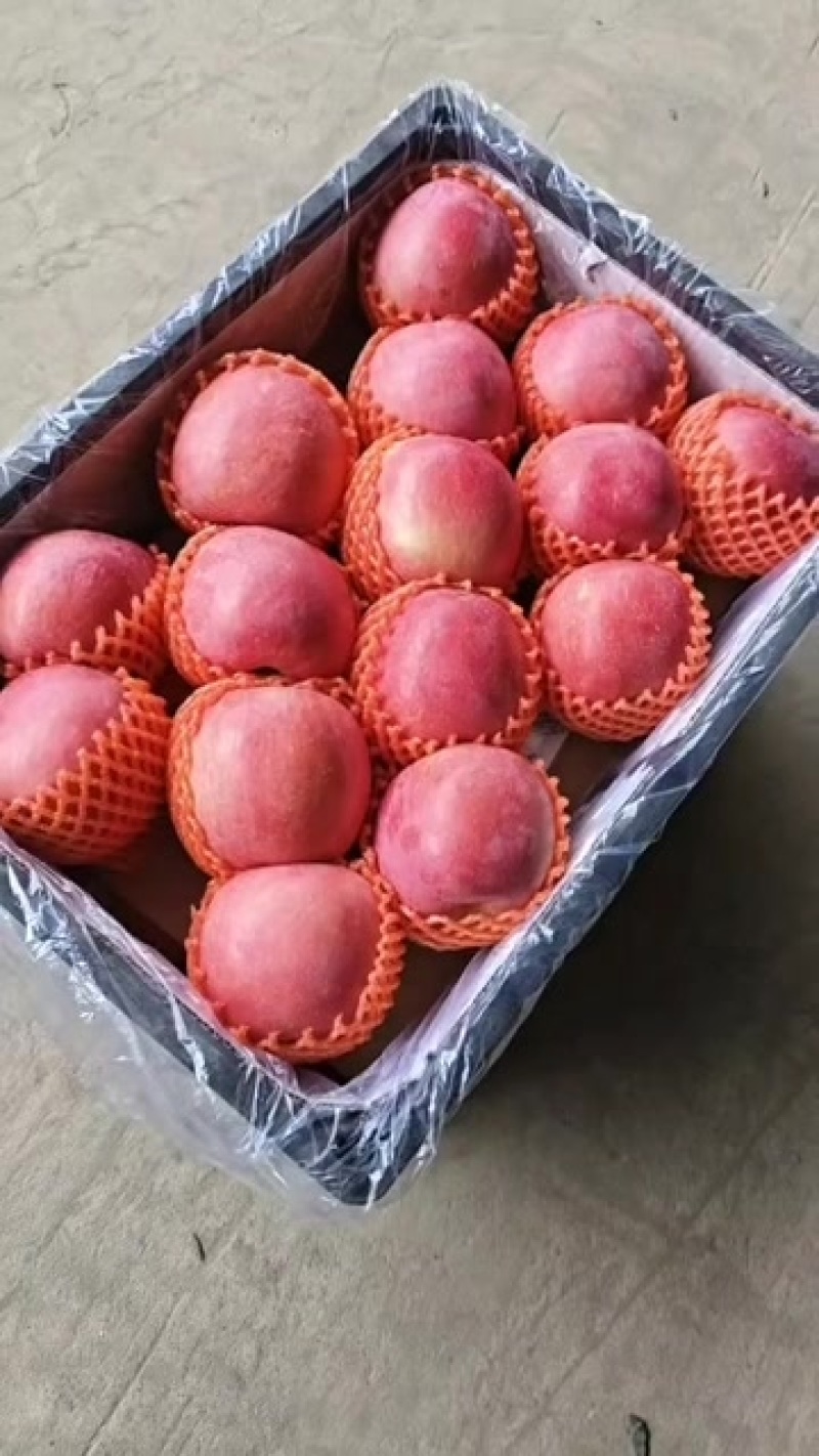 陕西纯纸袋片红