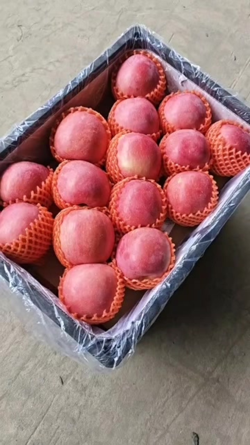 陕西纯纸袋片红