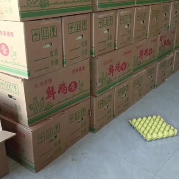 普通鸡蛋33斤一35斤，108元/件不含包装，