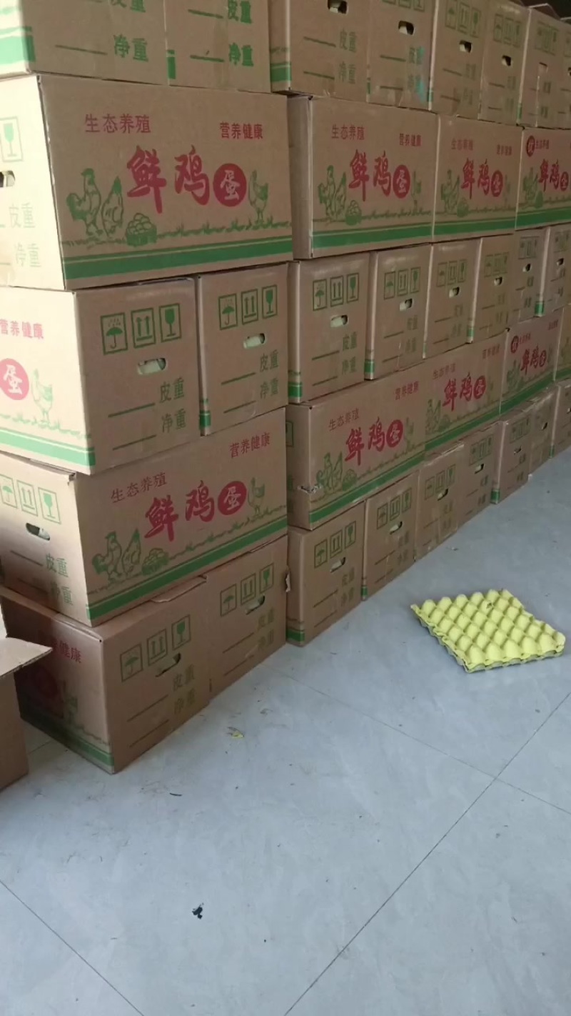 普通鸡蛋33斤一35斤，108元/件不含包装，