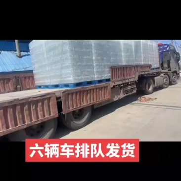 凉白开六挂开整，