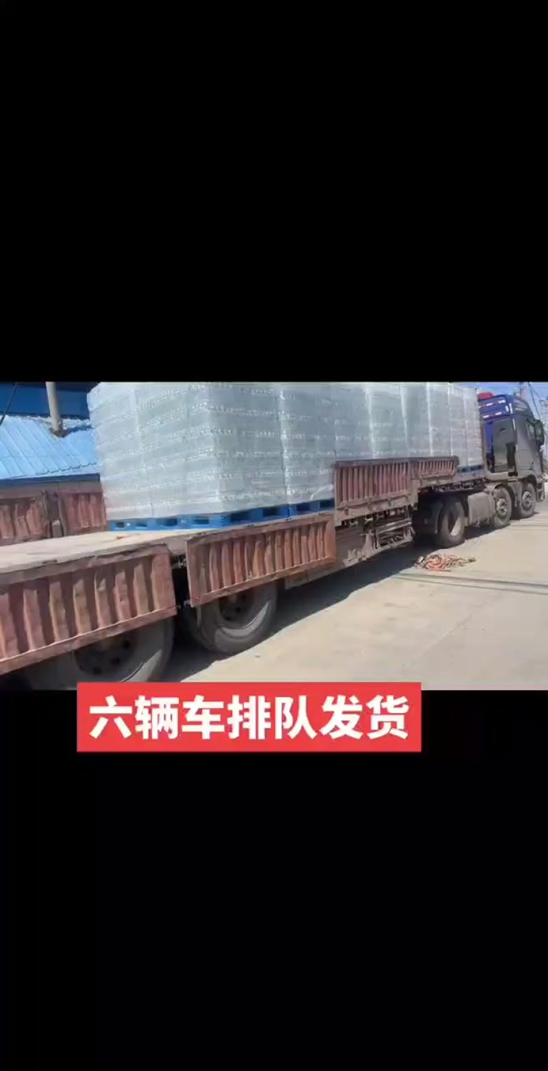 凉白开六挂开整，