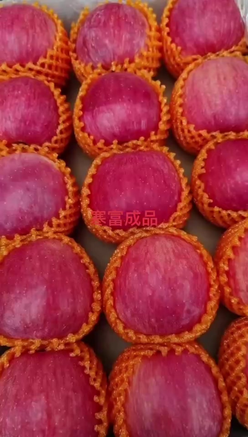片红富士