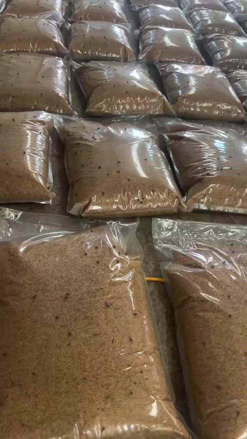 厂家直销，有5公斤和10公斤的包装，运费买家出