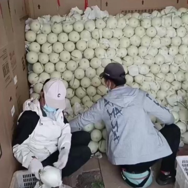 精品玉菇