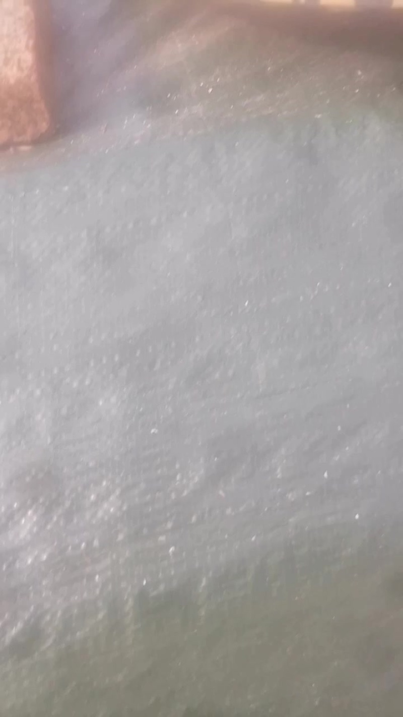湖南省衡东县正宗明前野藤茶