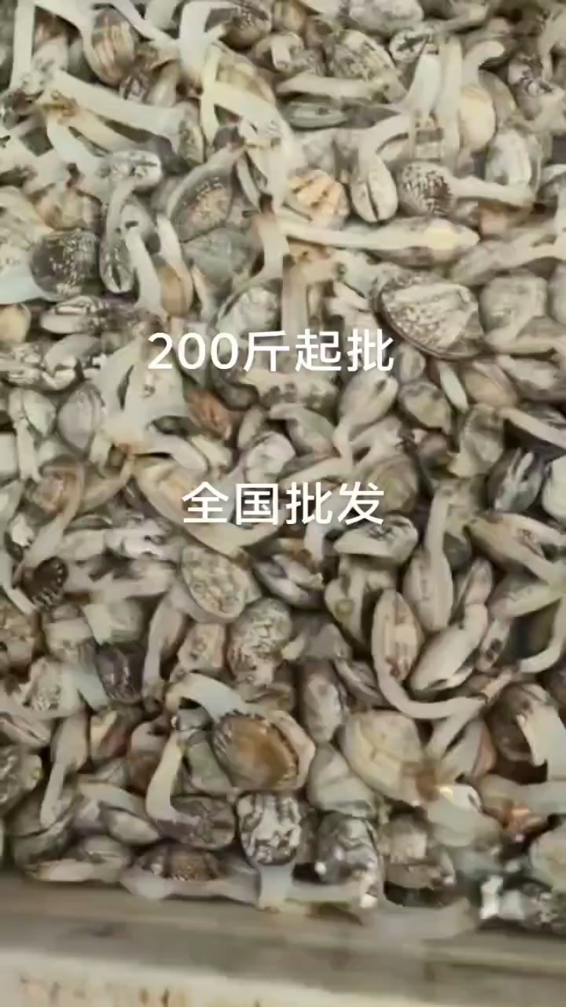 海鲜