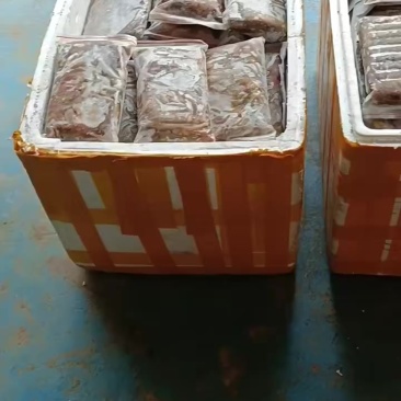 红尾巴鱼批量