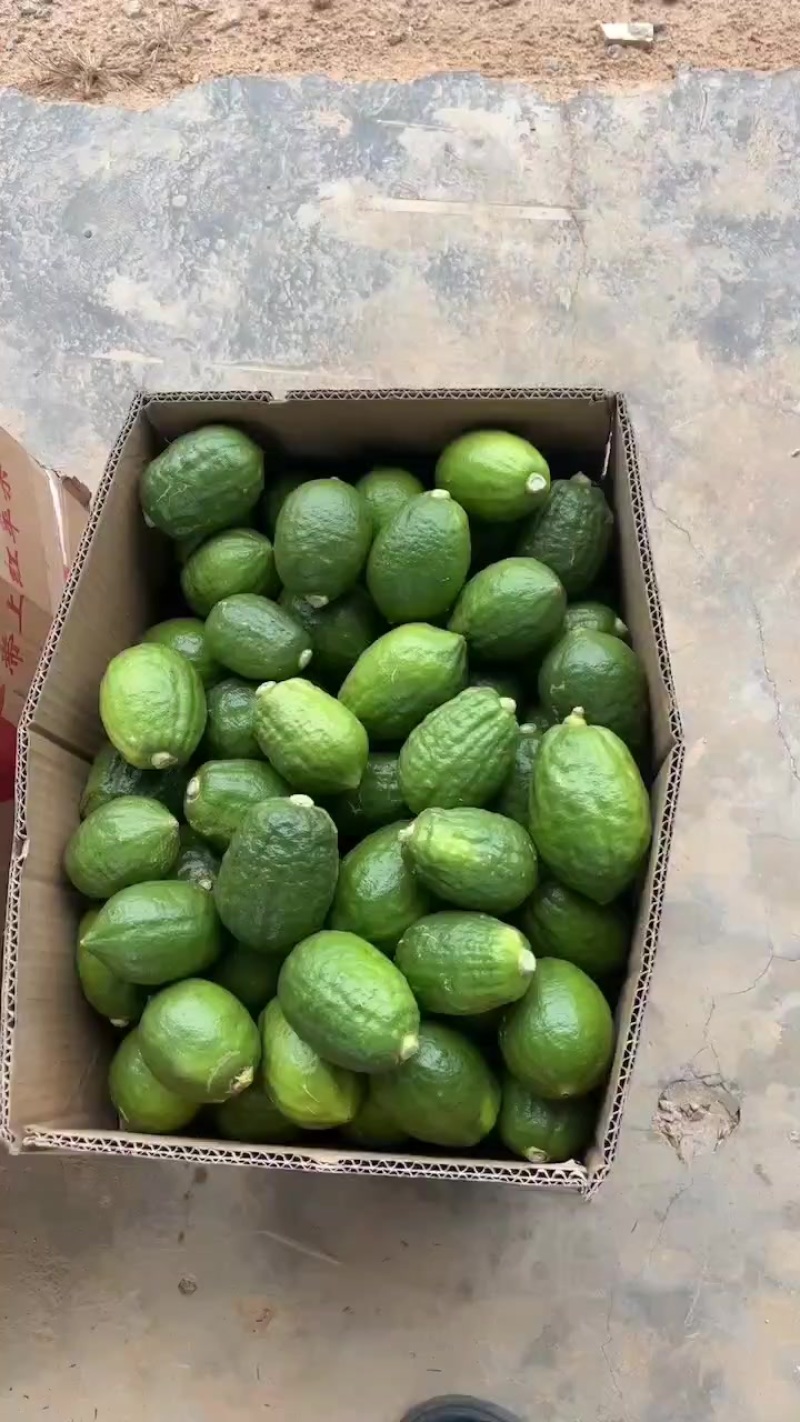 大量广东香水柠檬，次一级果，需要电联