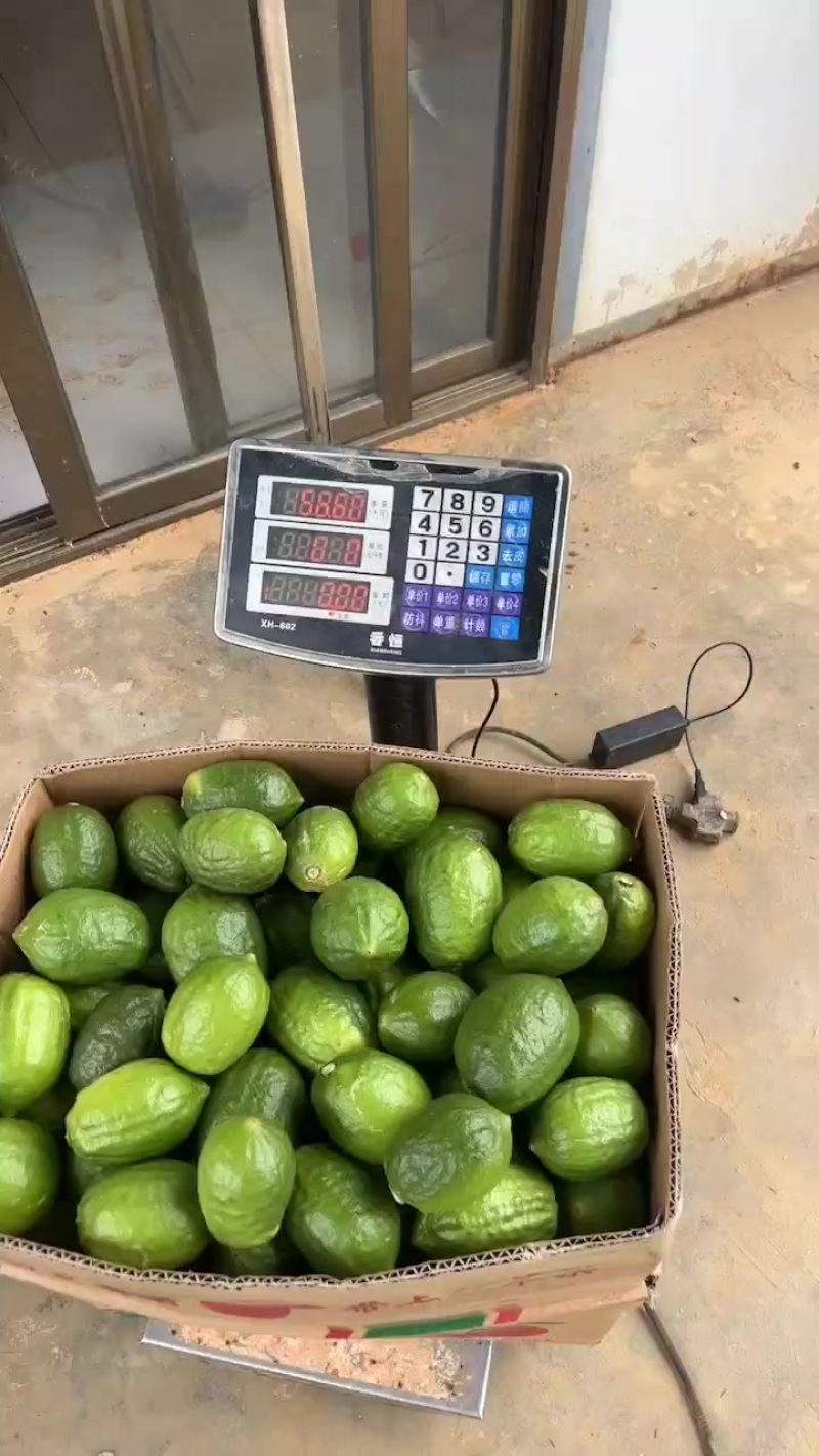 大量广东香水柠檬，次一级果，需要电联