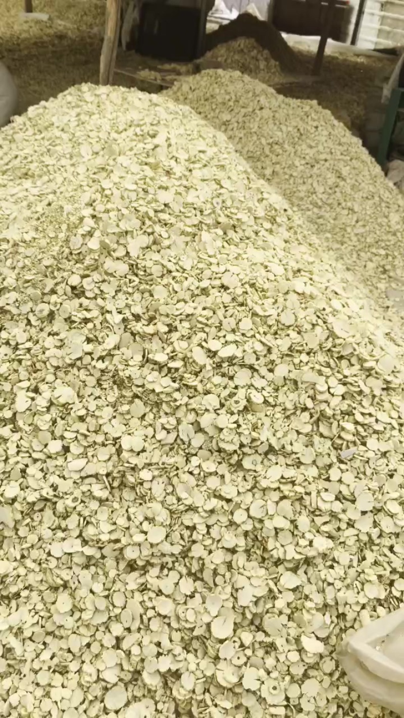 川木通