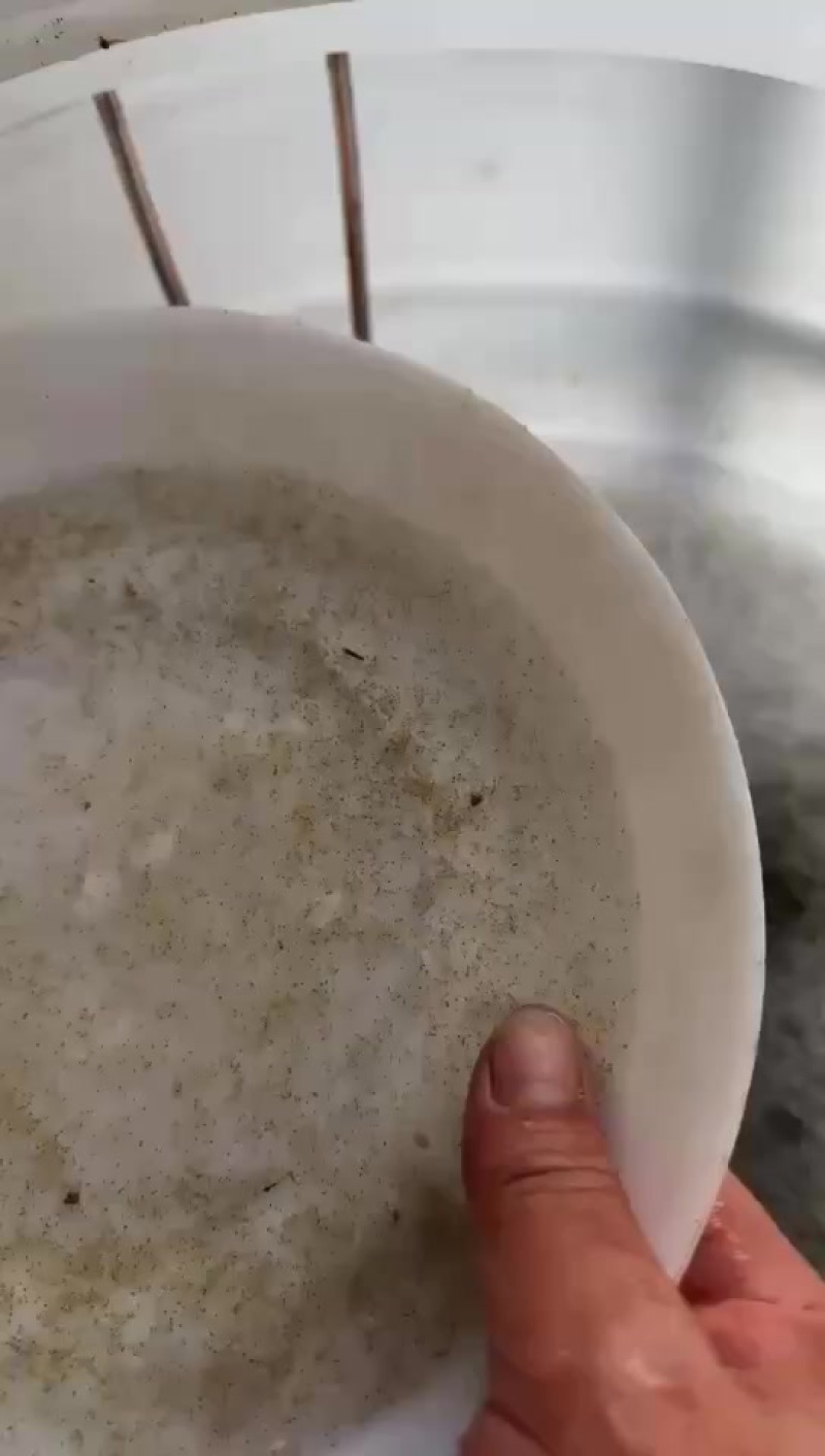 土鲮麦鲮水花
