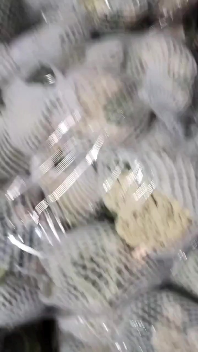 精品菜花，