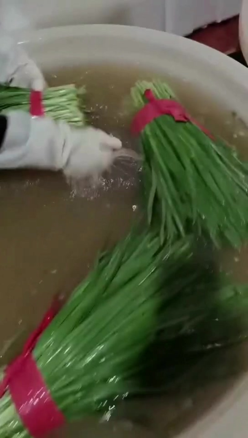 万亩韭菜新产区，质量好，且是当地比较有实力的代办，