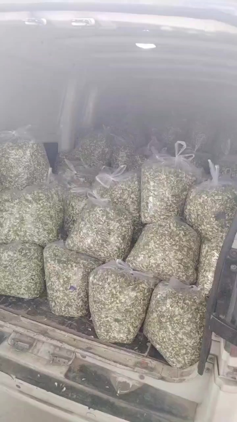 羊槐花