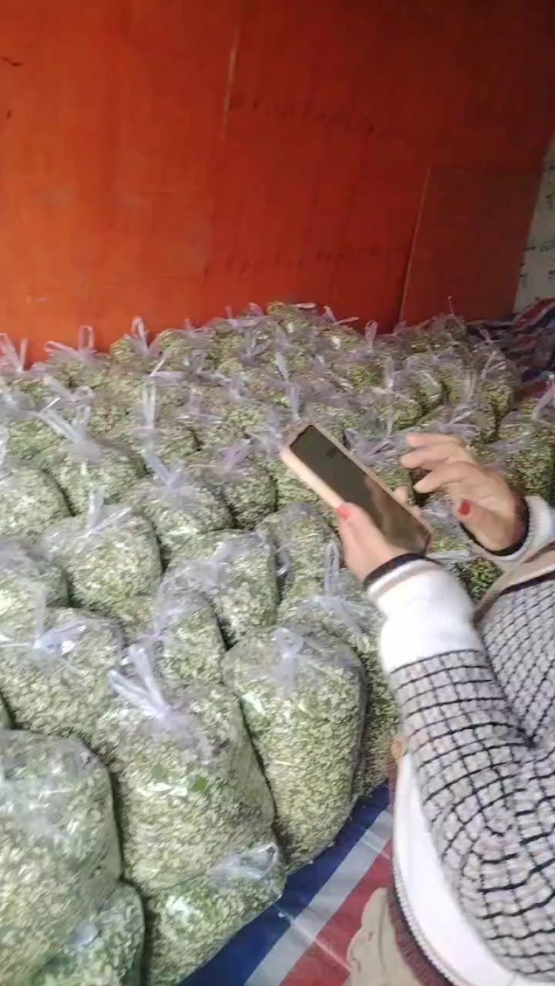 羊槐花