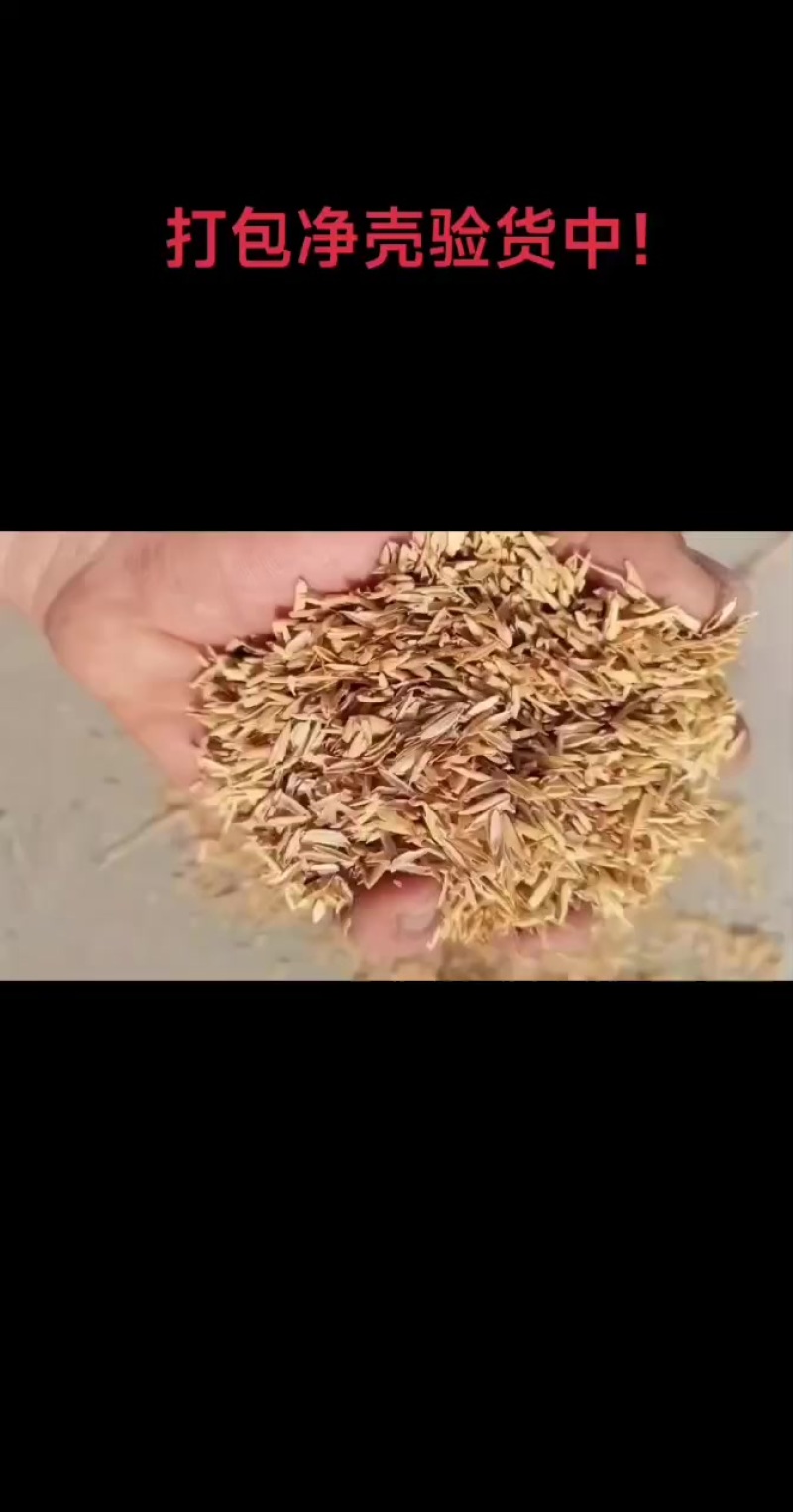 打包净壳验货中！