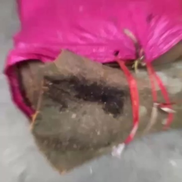 有大量生桂皮有意的来***********