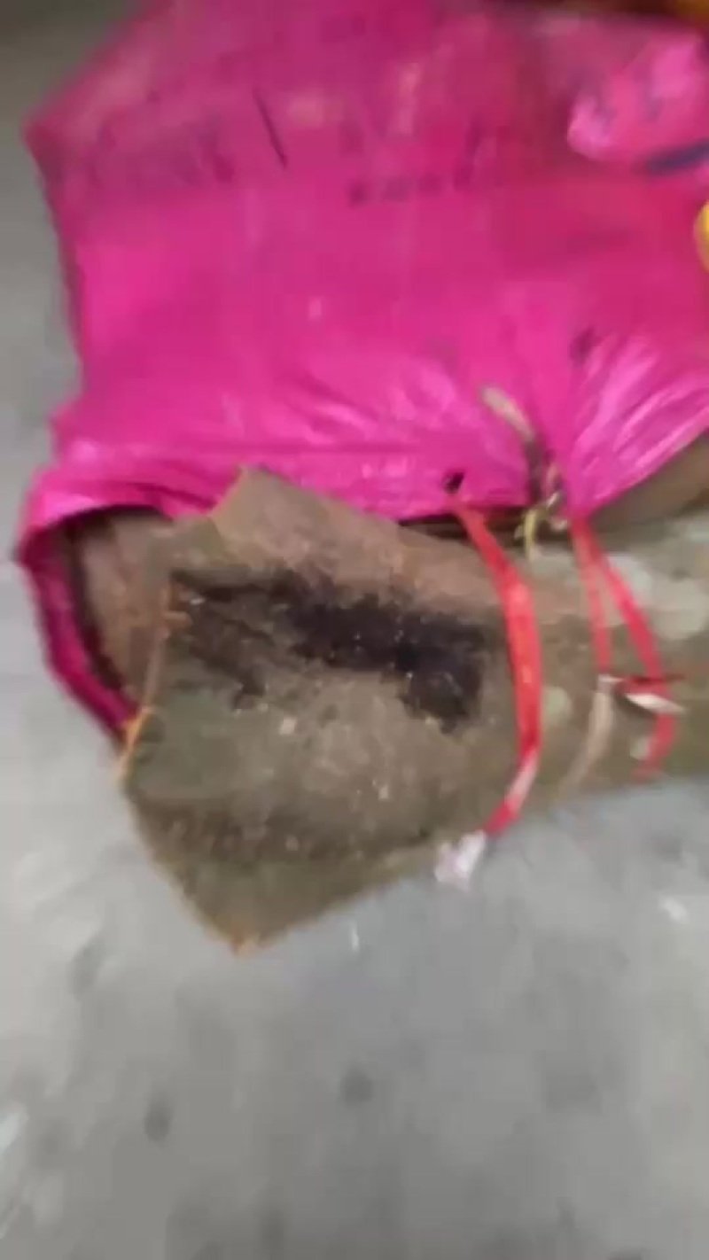 有大量生桂皮有意的来***********