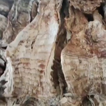 笋干烟笋干