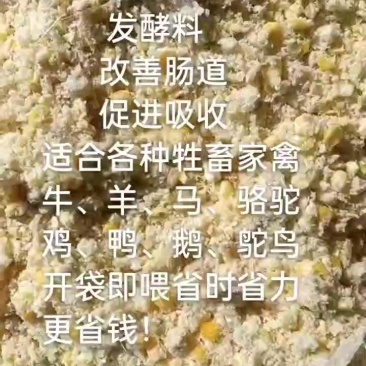 熟玉米