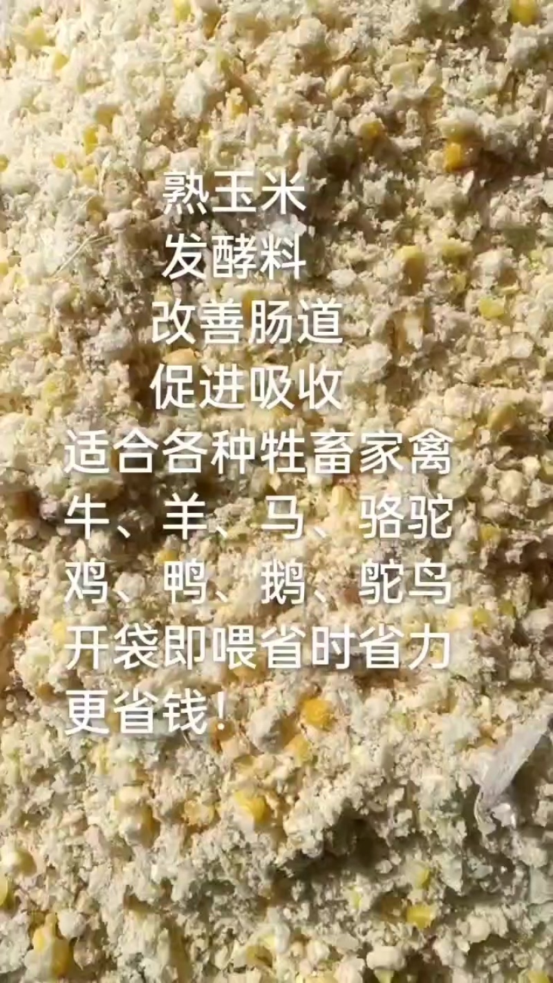 熟玉米