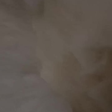 长毛兔，兔毛
