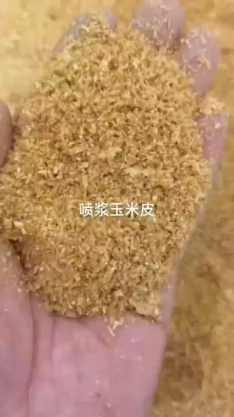 喷浆玉米皮:比草便宜，比草有营养的喷浆玉米皮，养殖户能降低养
