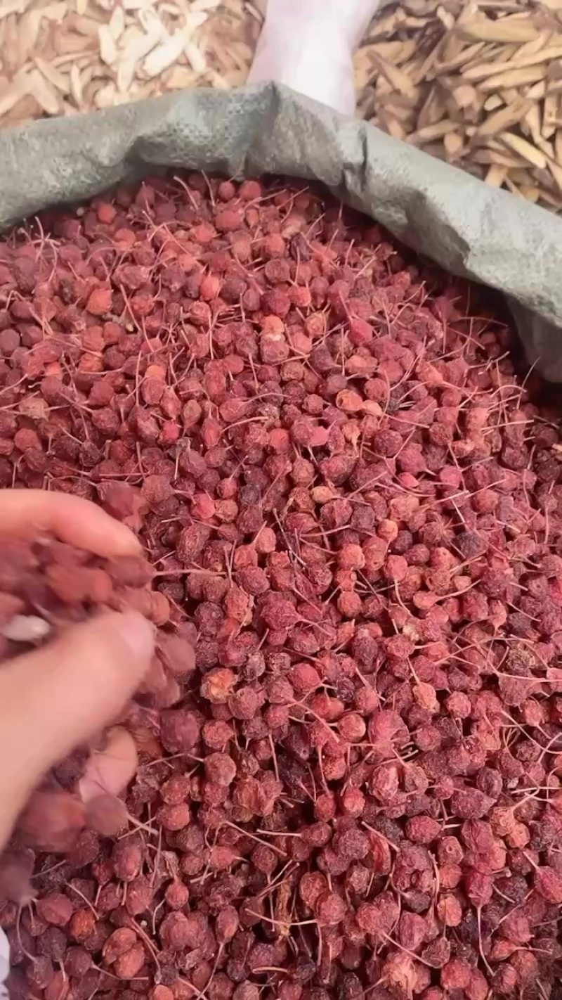 藏山楂大货批发一手货源500克起批