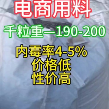 电商专用货