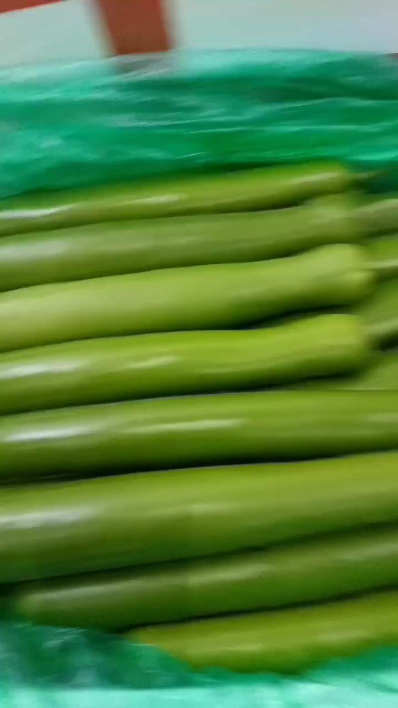 精品吊浦