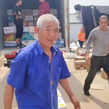 青县各种甜瓜博洋九，九一，六一，白瓜，花蕾，金冠。
