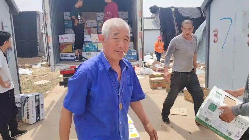青县各种甜瓜博洋九，九一，六一，白瓜，花蕾，金冠。
