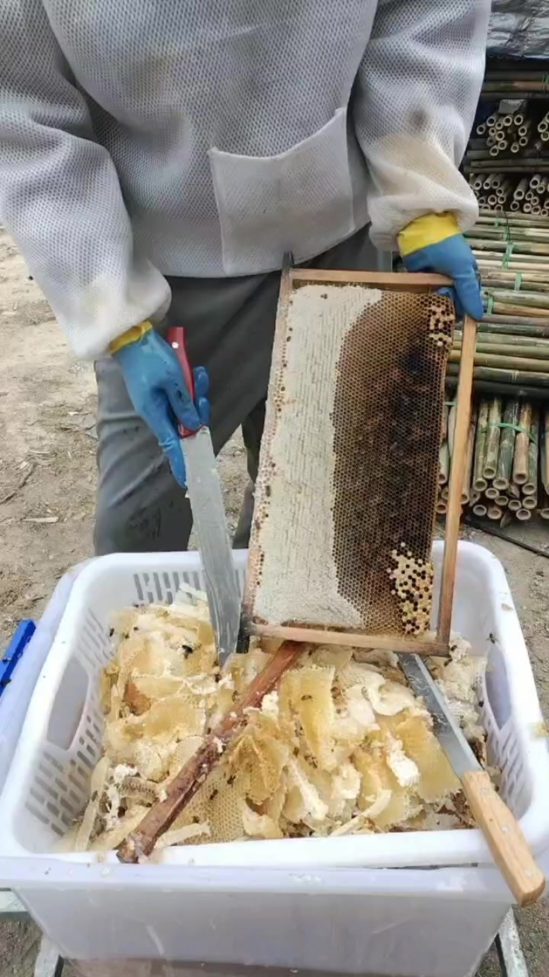 广东精品土蜂蜜量大从优，欢迎各位采购。