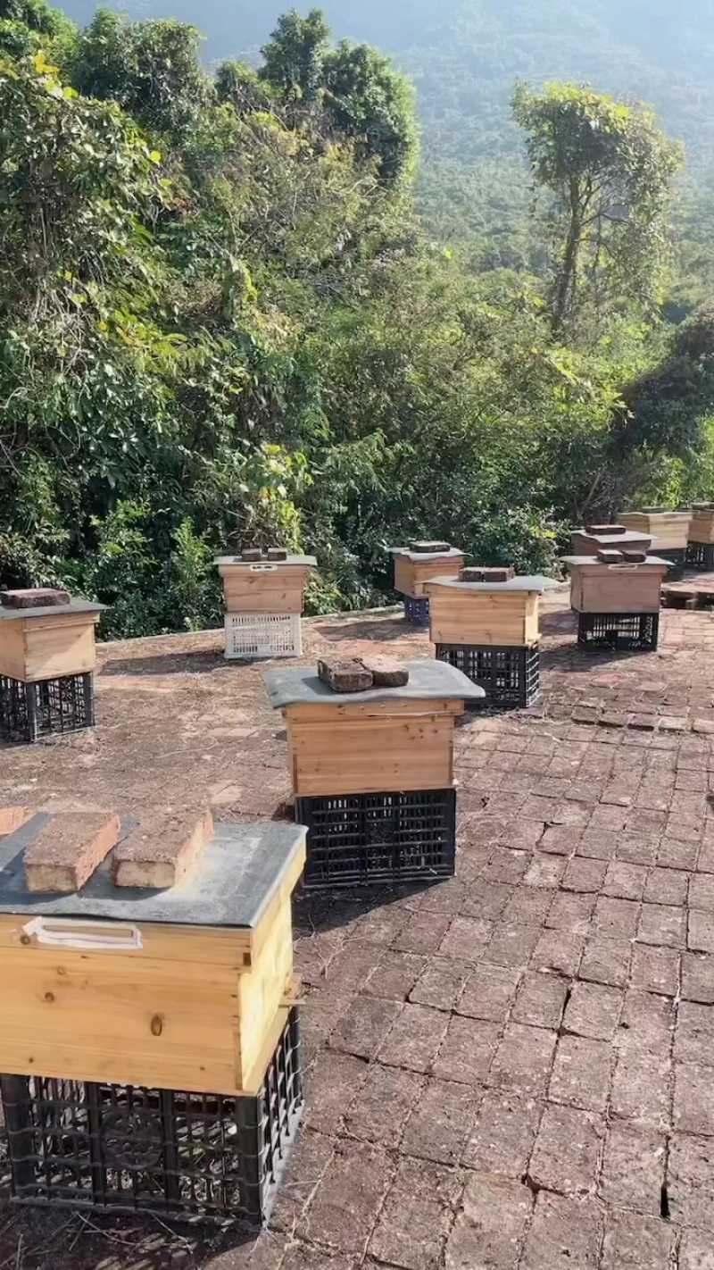 广东精品土蜂蜜量大从优，欢迎各位采购。
