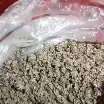 湖南野生猫爪