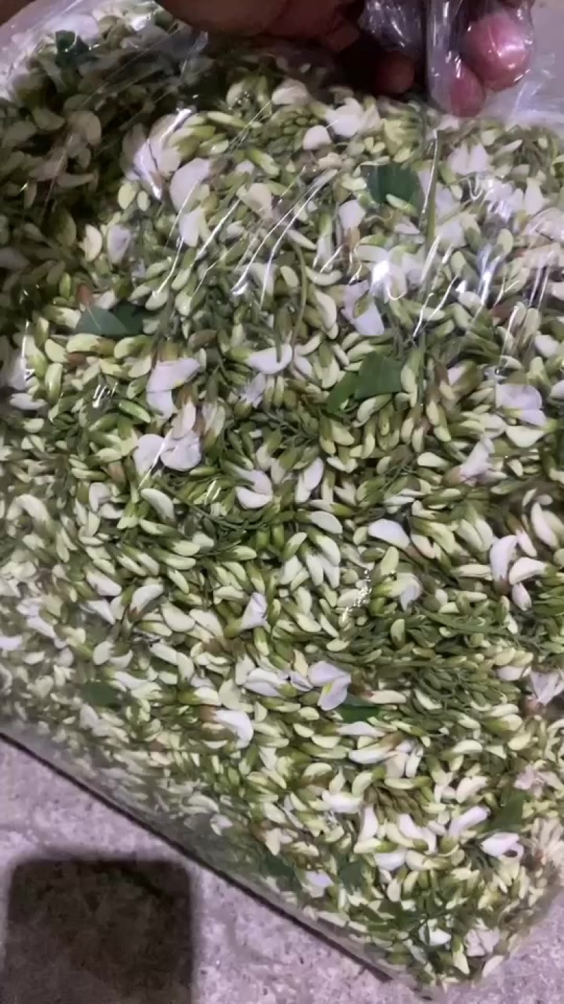 鲜洋槐花