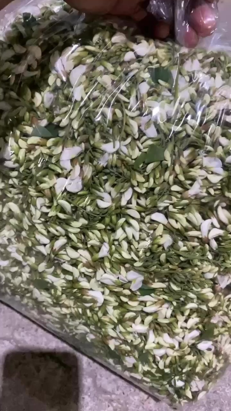 鲜洋槐花