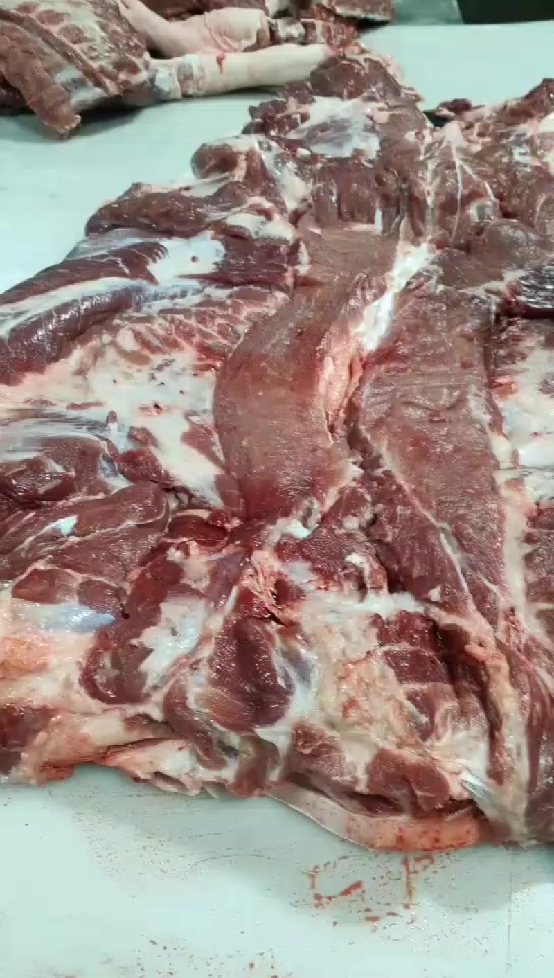 屠宰场直供猪肉分割品