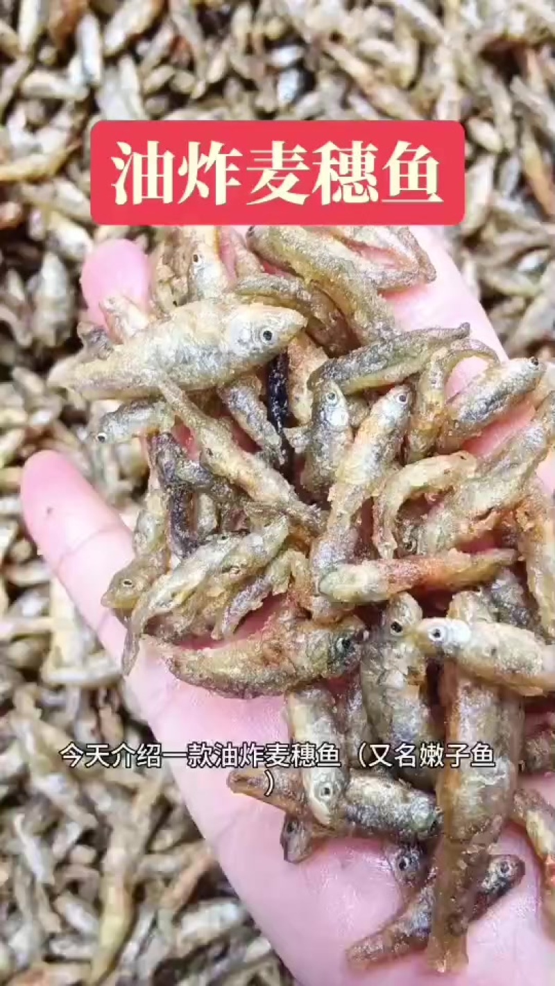 油炸麦穗鱼，好吃不苦，价格便宜，需要的老板联系我曾姐小鱼