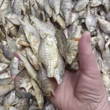 水煮半边，新鲜度非常好，需要的老板联系我曾姐小鱼，